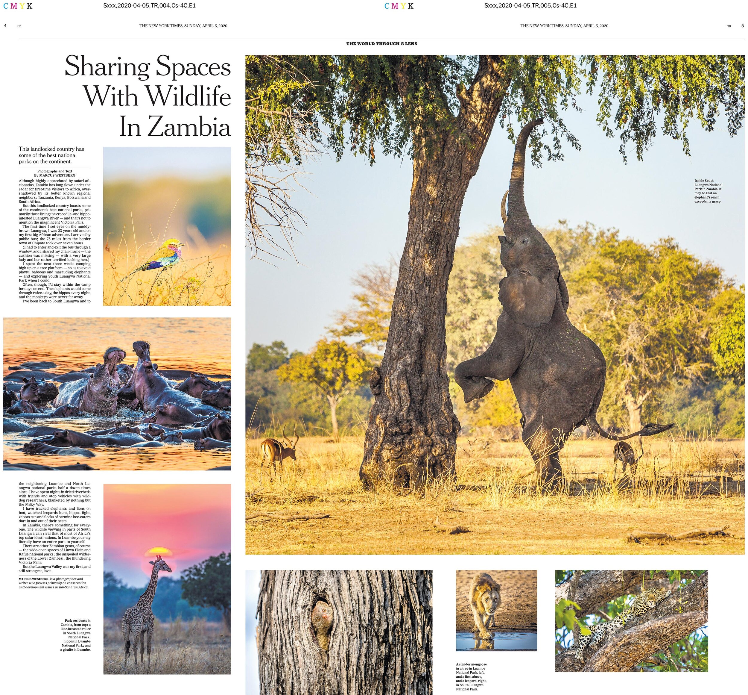 NEW YORK TIMES | Zambia